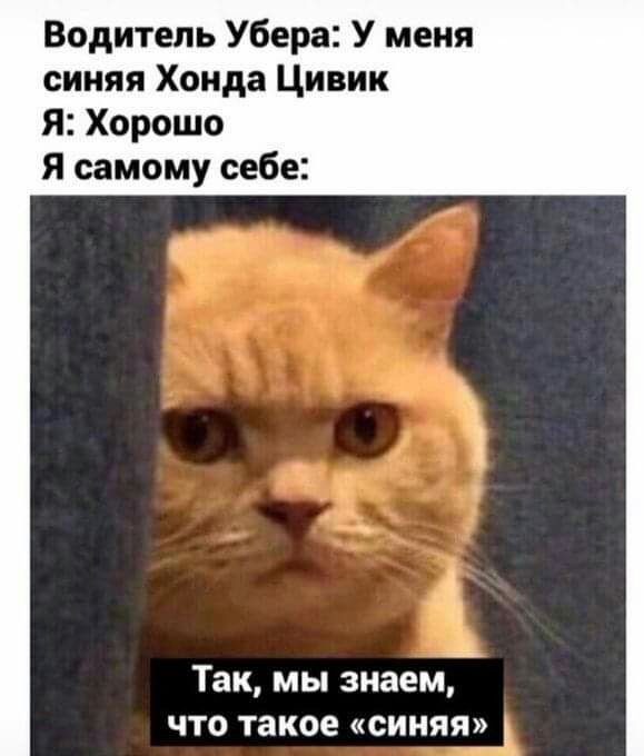 Водитель Убера У меня синяя Хонда Цивик Я Хорошо Я самому себе Так мы знаем ЧТО такое СИНЯЯ