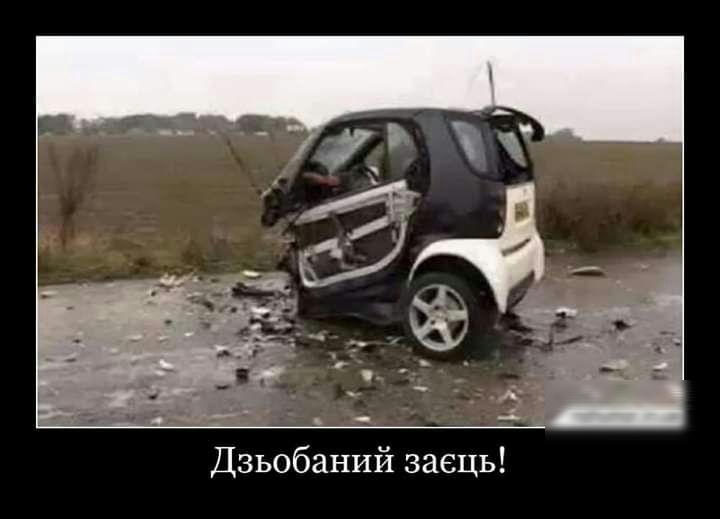 Дзьобаний заець