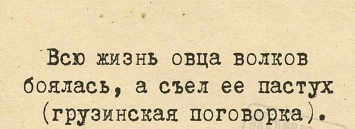 Всю жизнь овца волков боялась а съел ее пастух грузинская поговорка