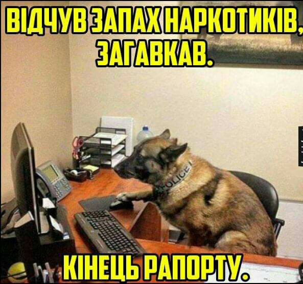 ндпкптишн
