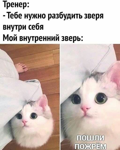 Тренер Тебе нужно разбудить зверя внутри себя Мой внутренний зверь