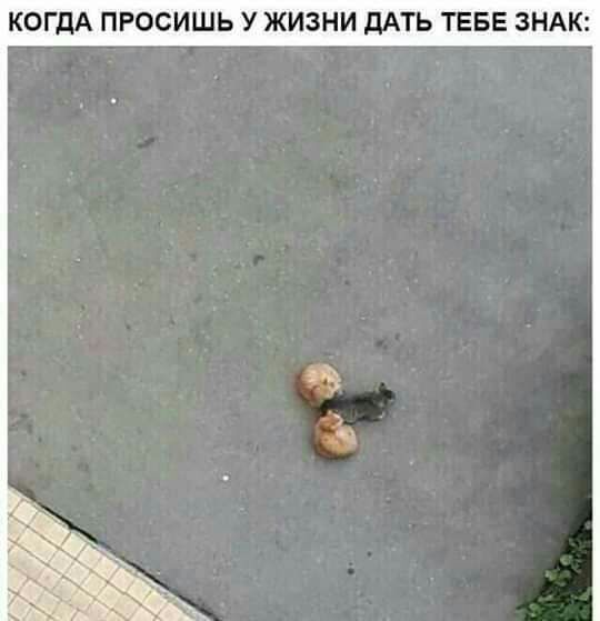 КОГДА ПРОСИШЬ УЖИЗНИ дАТЬ ТЕБЕ ЗНАК