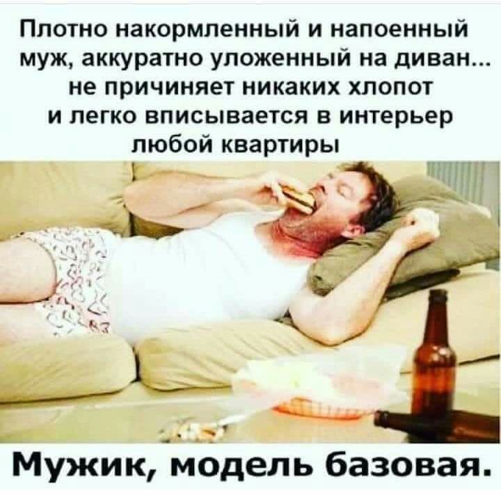 Плотно накормленный и напоенный муж аккуратно уложенный на диван не причиняет никаких хлопот и легко вписывается в интерьер любой квартиры Мужикмодель базовая