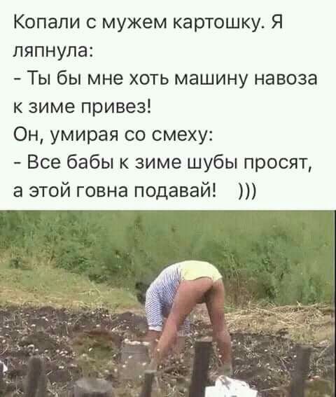 Копали с мужем картошку Я ляпнупа Ты бы мне хоть машину навоза к зиме привез Он умирая со смеху Все бабы к зиме шубы просят а этой говна подавай