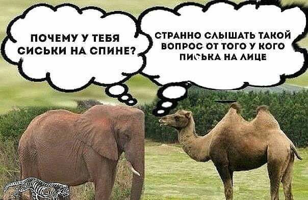 ОЧЕму у ТЕБЯ стмино сышдть ТАКОЙ ВОПРОС ОТ ТОГО У КОГО СИСЬКИ НА ОПИНЕ ПИГЬКА А АИЦЕ