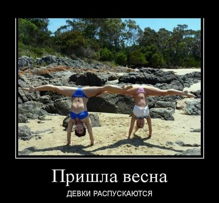 Пришла весна ДЕВКИ РАСПУС КАЮТСЯ