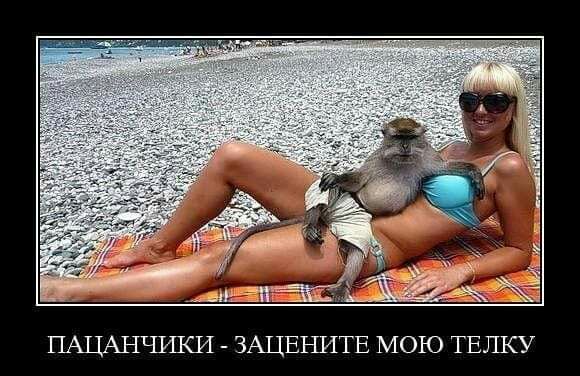 ПАЦАНЧИКИ ЗАЦЕНИТЕ МОЮ ТЕЛКУ