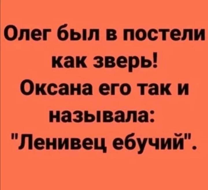 Олег был в постели как зверь Оксана его так и называла Ленивец ебучий