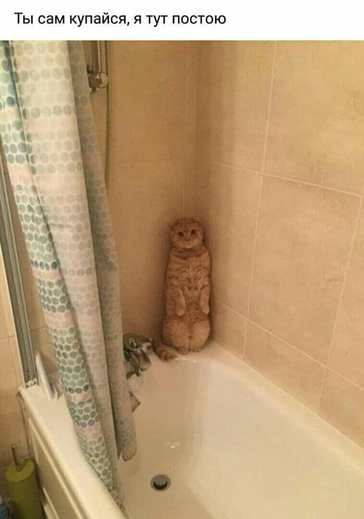 Ты сам купайся я тут постою