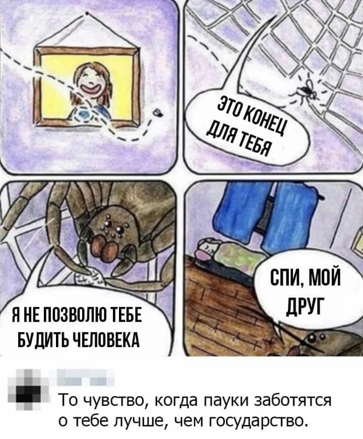 БУДИТЬ ЧЕЛПВЕКА То чувсгво когда пауки заботятся о тебе лучше чем государство