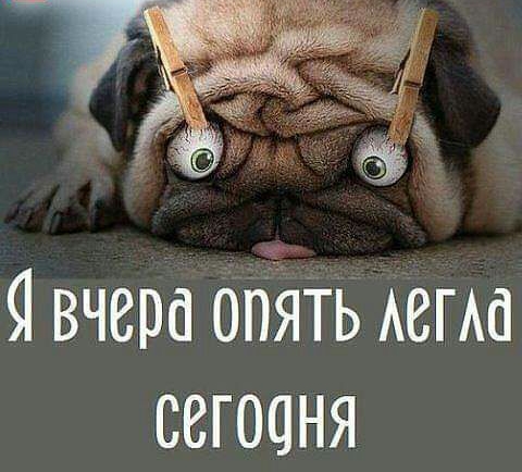 91 вчера отіЯть мама сегоаня