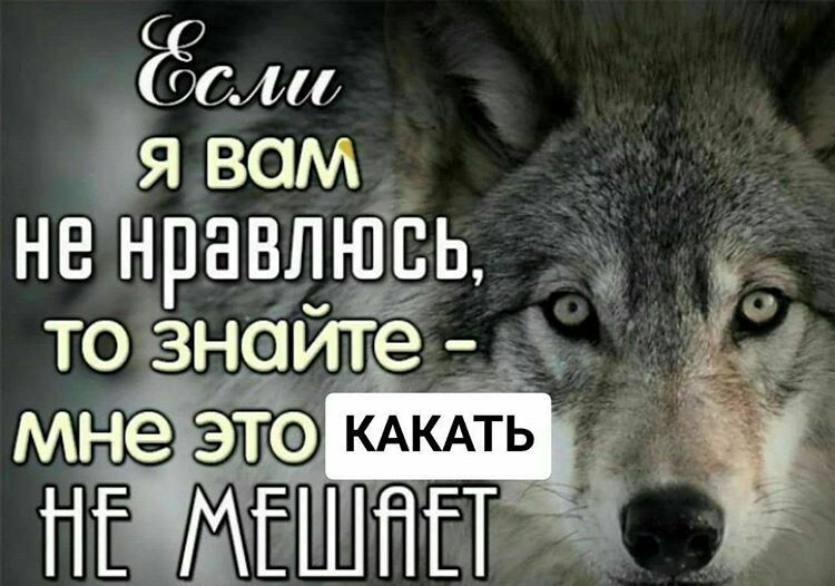 СЭСМф я вам не нравлюсь