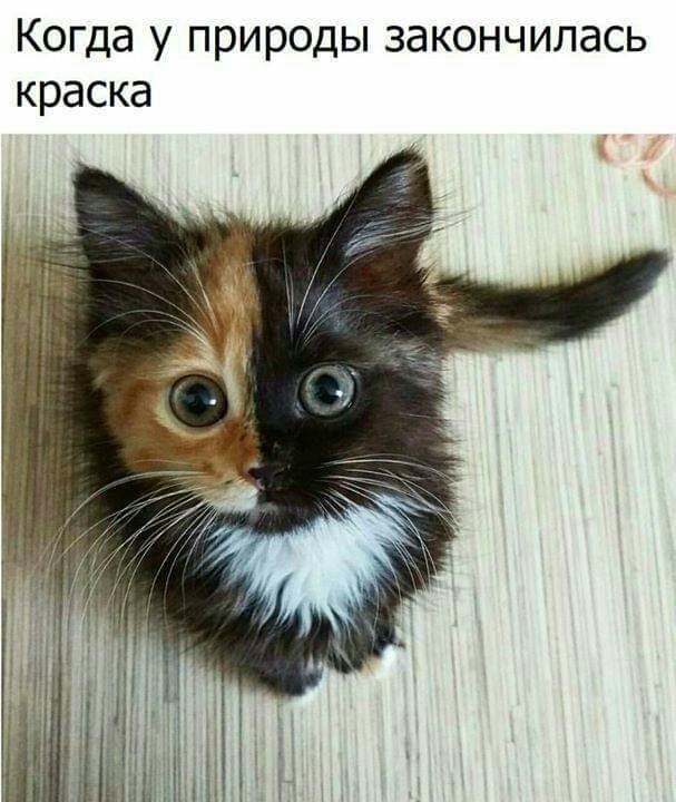 Когда у природы закончилась краска