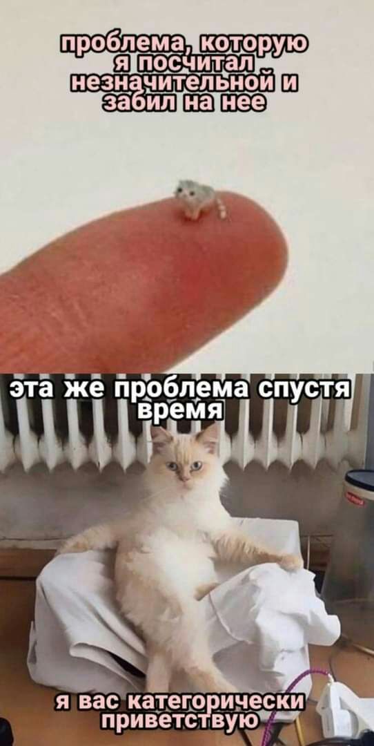 проблема которую я посчщап незнчитепьной Ш Я вас КЗТЕГО ИЧВСКИ 3 _ приветс ВУЮ