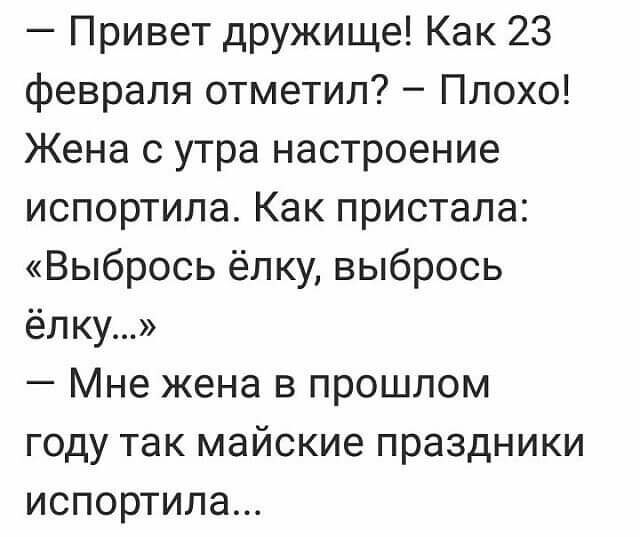 Привет дружище Как 23 февраля отметил Плохо Жена с утра настроение испортила Как пристала Выбрось ёлку выбрось ёлку Мне жена в прошлом году так майские праздники испортила