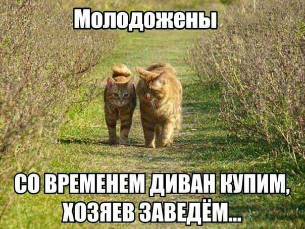 Молодожены ооВгШЁНЕм ЁЦМн купим хознъвтздвшім
