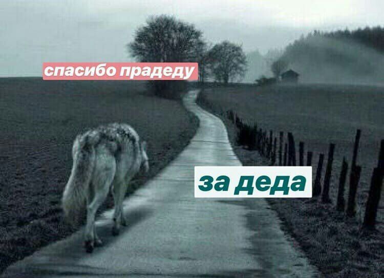 задеда