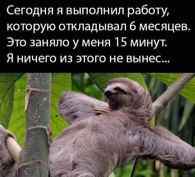 Сегодня я выполнил работу которую откладывал 6 месяцев Это заняло у меня 15 минут Я ничего из этого не вынес