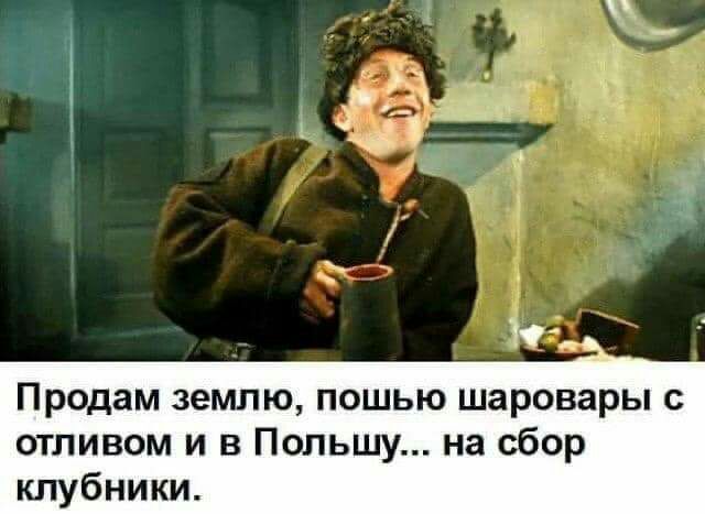 Продам землю пошью шаровары с отливом и в Польшу на сбор клубники