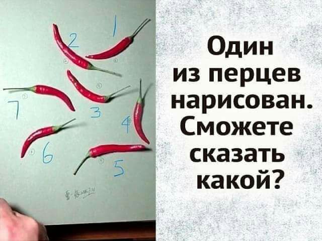 Один изперцев нарисован Сможете сказать какой