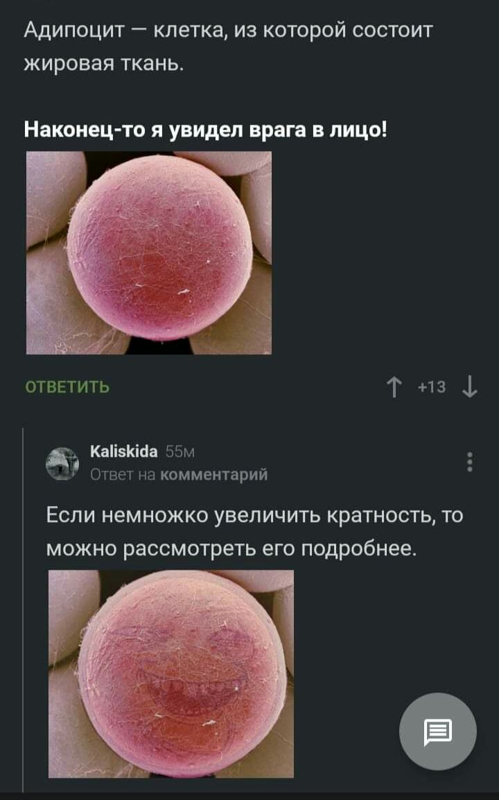 АДИПОЦИТ _ КЛЭТКЭ ИЗ КОТОРОЙ СОСТОИТ ЖИРОВЭЯ ТКЭНЬ Наконец то я увидел врага в лицо отввтить Т 13 1 КаіівКіЦн 55м Ответ на комментарий ЕСЛИ НЭМНОЖКО УВБЛИЧИТЬ КРЭТНОСТЬ ТО МОЖНО РЗССМОТреТЬ его подробнее