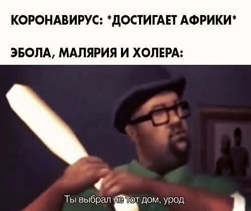 КОРОНАВИРУС дОСТИГАЕТ АФРИКИ ЭБОЛА МАЛЯРИЯ И ХОЛЕРА Ты выбрал нетат дом урод
