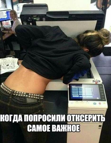 нпгдп попросили мнении симов вянет
