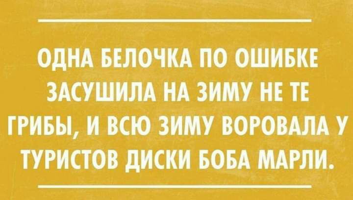 ОДНА БЕЛОЧИАПО ОШИБКЕ ЗАСУШИЛА НА ЗИМУ НЕ ТЕ ГРИБЫ И ВСЮ ЗИМУ ВОРОВАЛА У ТУРИСТОВ дИСКИ БОБА МАРЛИ