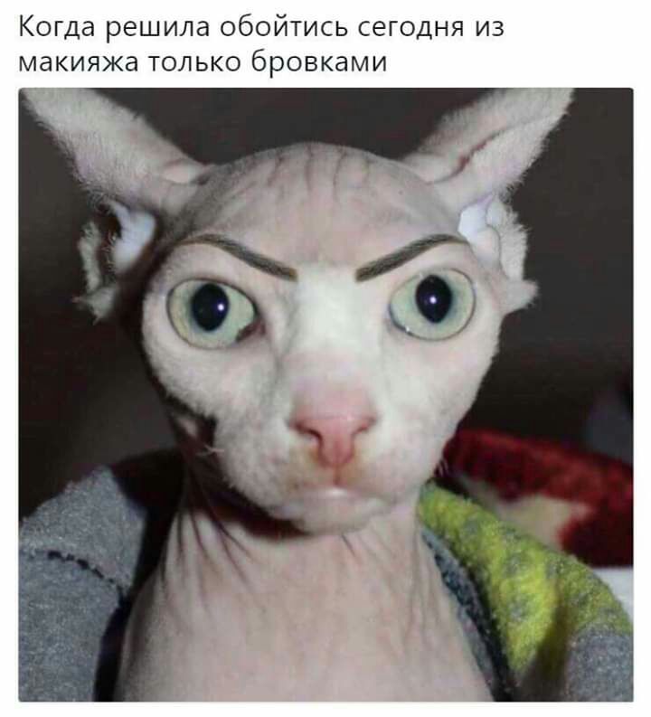 Когда решила обойтись сегодня из макияжа только бровками