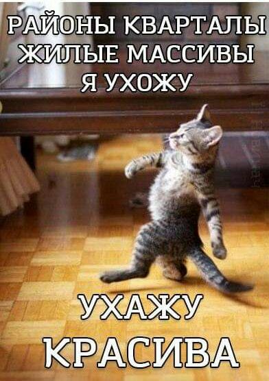 РЖАЙЪШОНЫ КВАРТАЛЬП ЖчИіШЪШ МАССИВЫ ва я ухожу _
