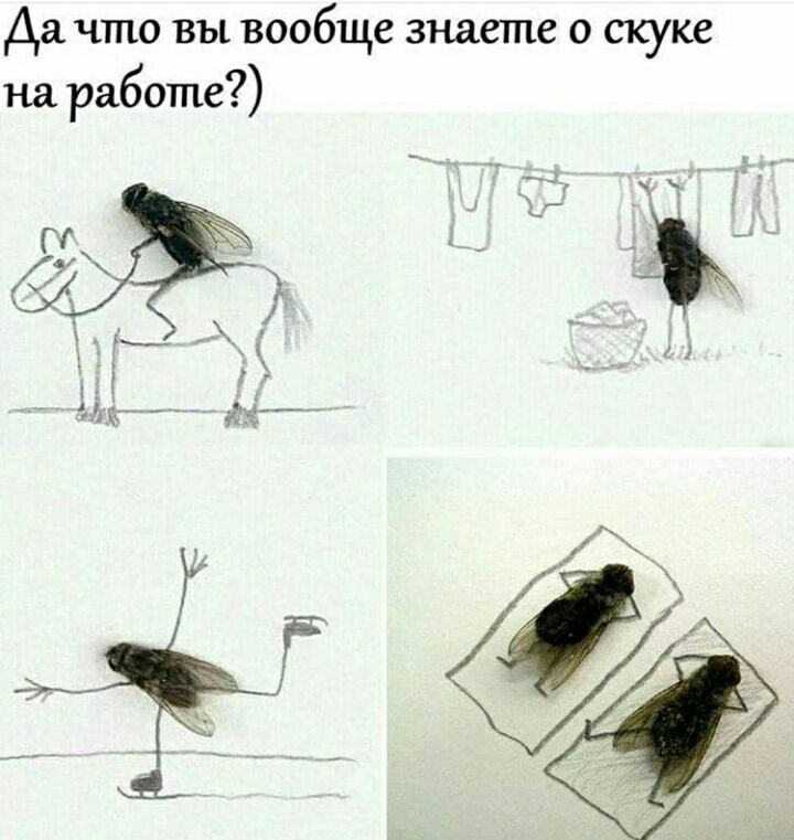 Да что вы вообще знаете о скуке на работе гц _ _ Ё 6 _