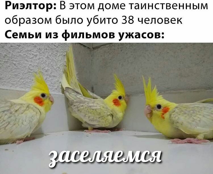 Риэлтор В этом доме таинственным образом было убито 38 человек Семьи из фильмов ужасов