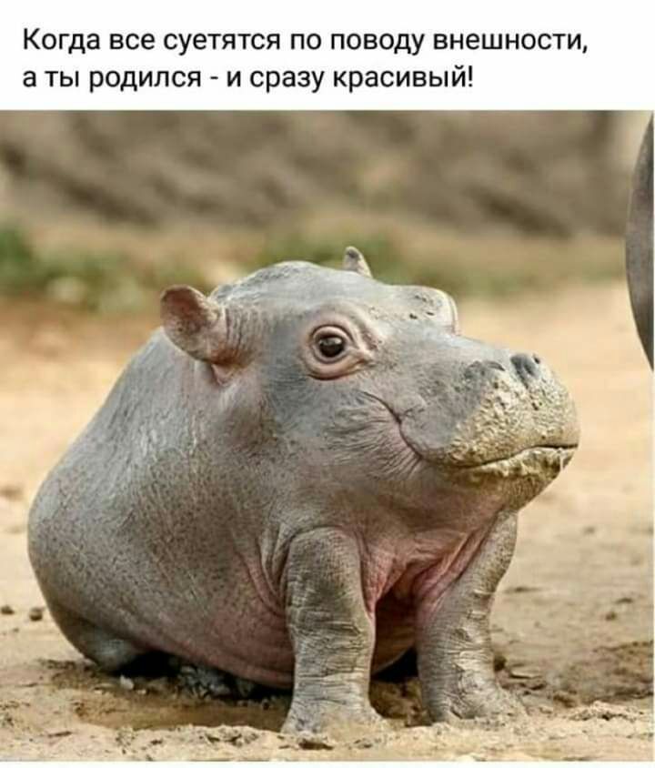 Когда все суетятся по поводу внешности а ты родился и сразу красивый