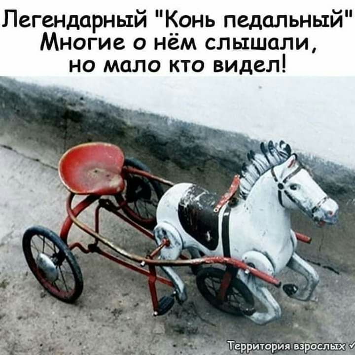 Легендарный __онь педальный Многие о нем слышали но мало кто видел щи Тгрвчтрия 5319944151