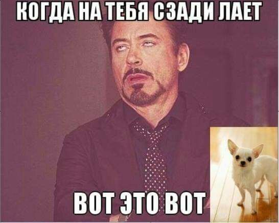 МДА НА ТЕБЯ СЗАДИ ПАЕТ 801 это В