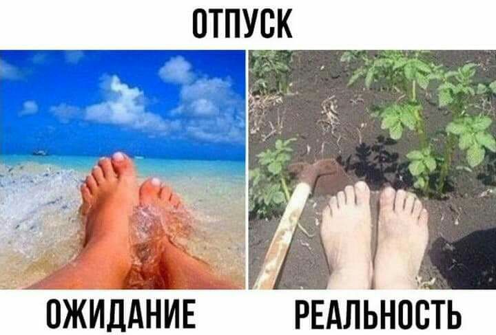 ОЖИДАНИЕ РЕАЛЬНОСТЬ
