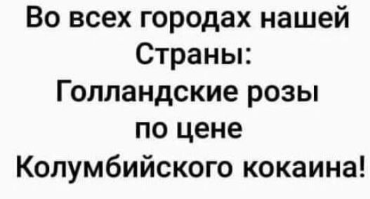 Во всех городах нашей Страны Голландские розы по цене Колумбийского кокаина