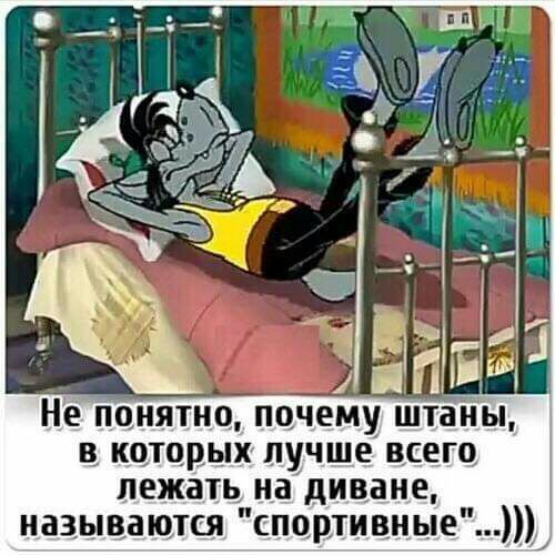 Не понятно почему штаіяы В КОТОРЫХ ЛУЧШЕ ВСЕГО лежать на диване называются спортивнь_е