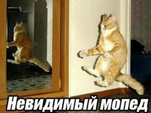к ЕВИДИМЫЙ МШЮД