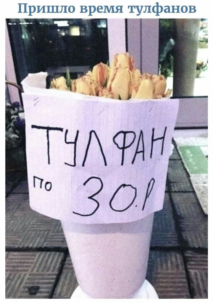 Пришло время тулфанов __ ___ __
