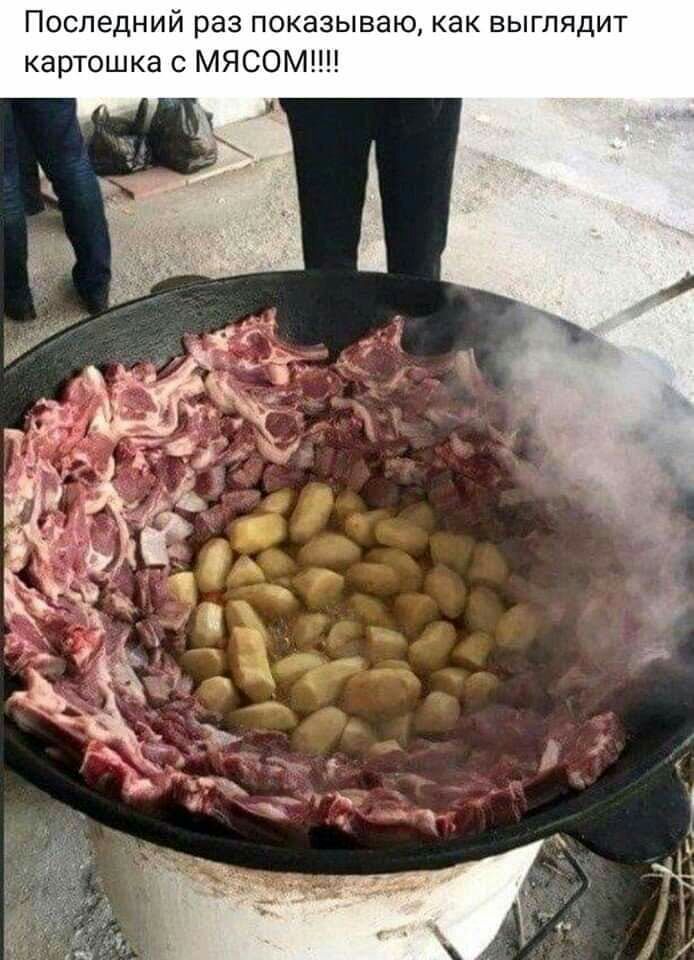 Т и д Я Ь в к а К Ю а Щ Ь з а К О П 3 а р и кашошкасМЯСОМНН Последни