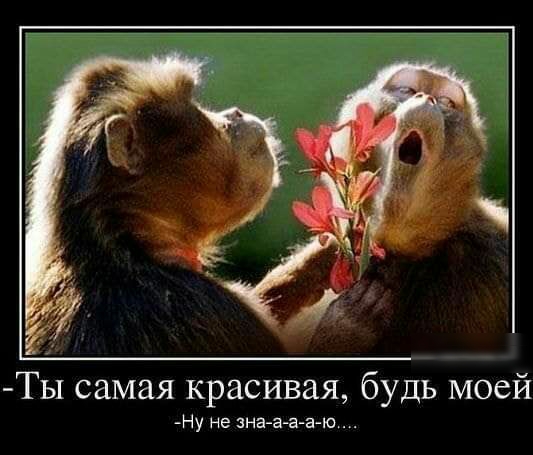 Ты самая красивая будь моей Ну не зна а а а ю чений