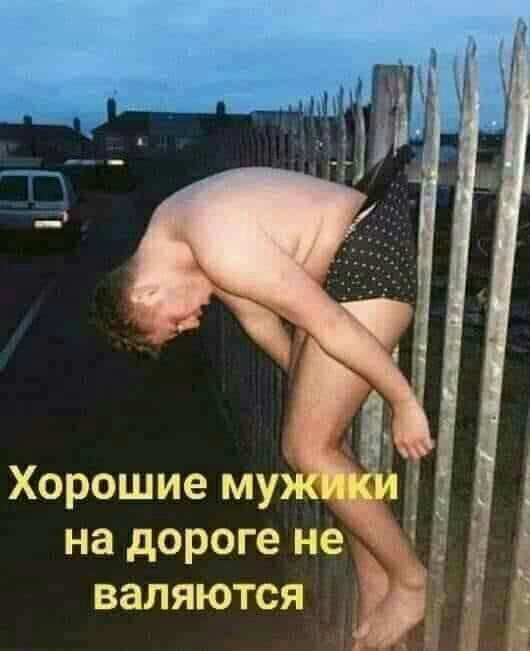 Хорошие му на дороге не валяются