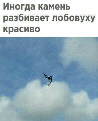 Иногда камень разбивает лобовуху красиво