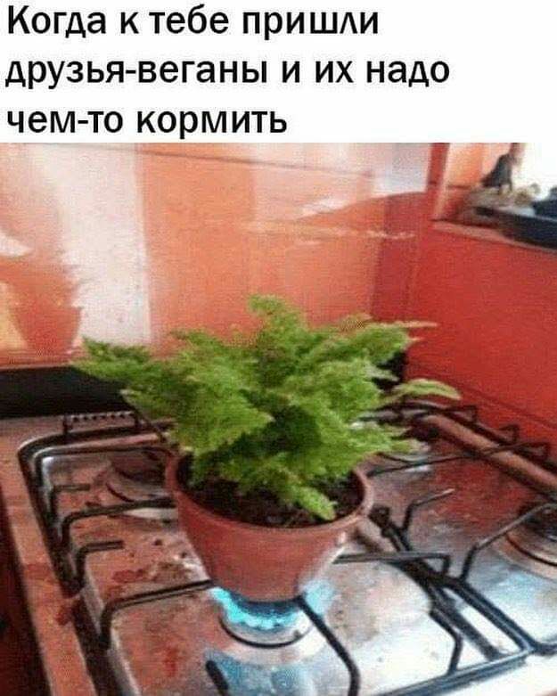 Когда к тебе пришди друзья веганы и их надо чем то кормить