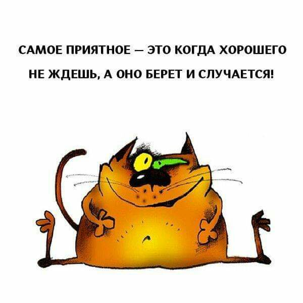 САМОЕ ПРИЯТНОЕ ЭТО КОГДА ХОРОШЕГО НЕ ЖДЕШЬ А ОНО БЕРЕТ И СПУЧАЕТСЯ
