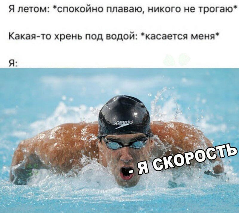 Я летом спокойно плаваю никого не трогаю Какая то хрень под водой касается меня Я