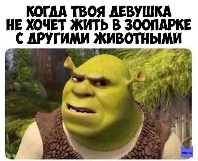 КОГДА ТВОЯ АЕВУШКА НЕ ХОЧЕТ ЖИТЬ В ЗООПАРКЕ С АРУГИМИ ЖИВОТНЫМИ