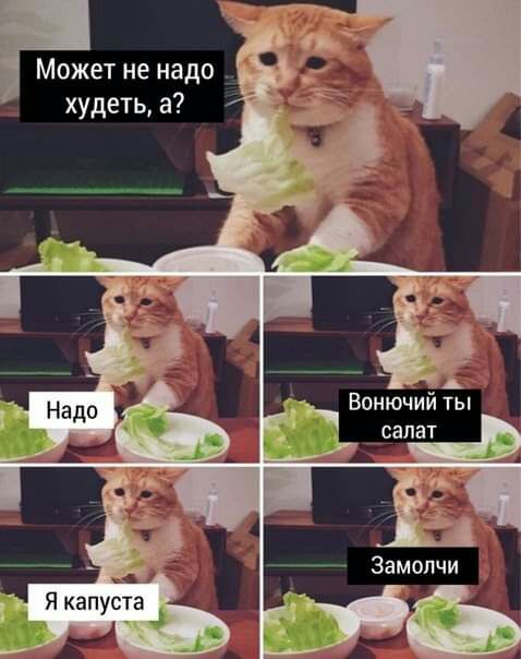 Может не надо худеть а ТЫ Вонючйи салат