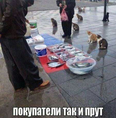 покупатели тани пшп